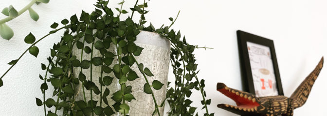 心も体も癒される家