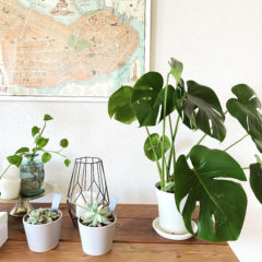 居心地の良いおしゃれな空間の作り方 ３「額」