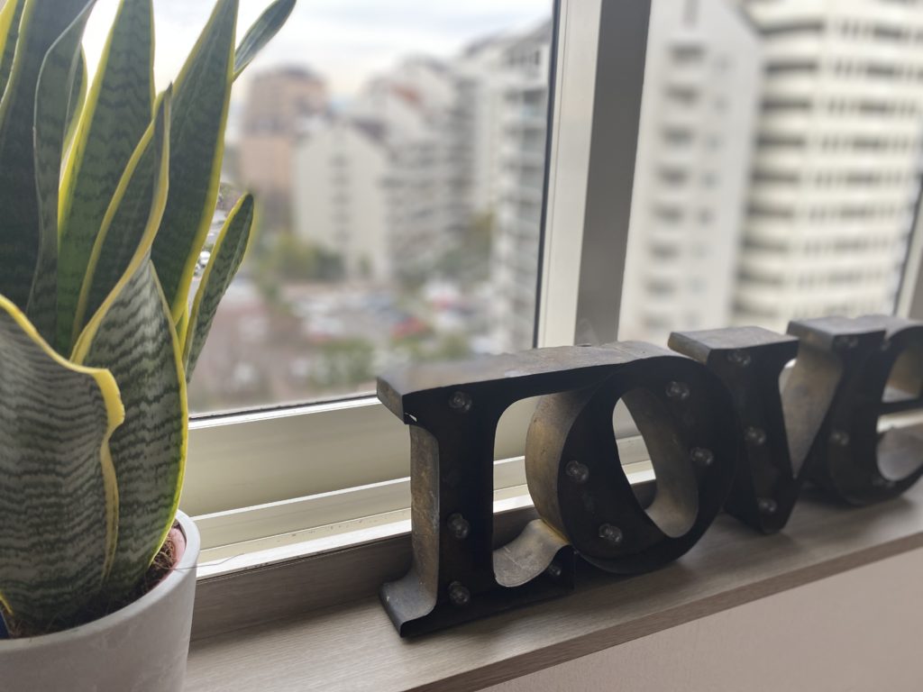 植物のあるコーナー