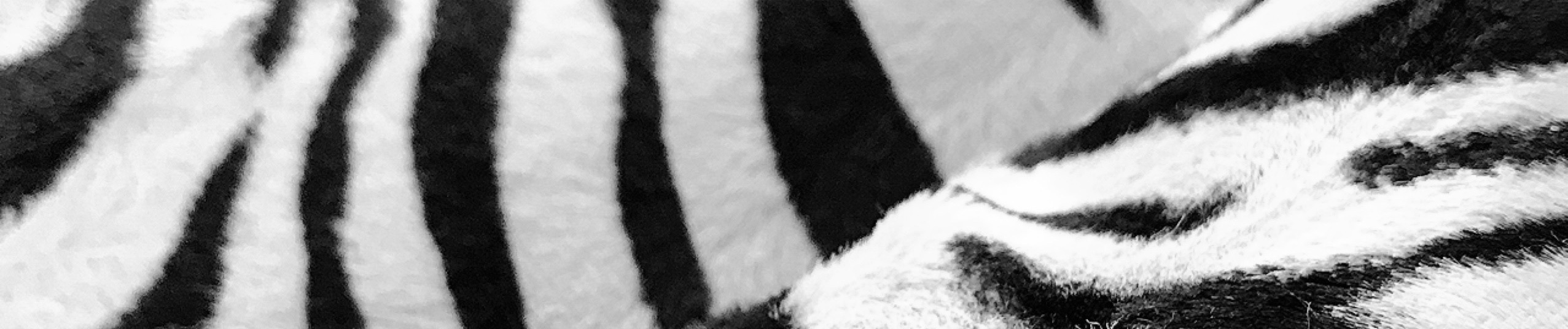 特定商取引に基づく表記