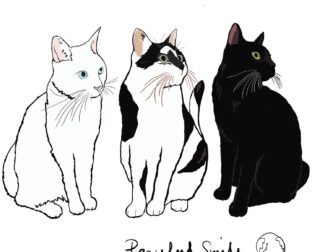 キャット＆ドッグ