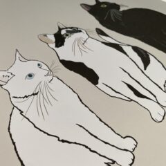 9/10よりPeaceful Smileが小さな命を救うお店に生まれ変わりました！