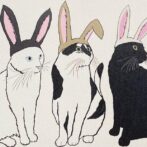 猫 イラスト ポストカード