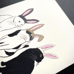 年賀状にもぴったりな猫のポストカード