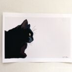 猫のイラスト