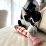 猫のおもちゃ cat toy