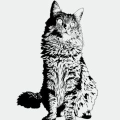 猫のポスター「Long hair cat」