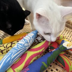 シンプルな猫のおもちゃ