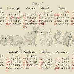 小豆島の猫を助けたい