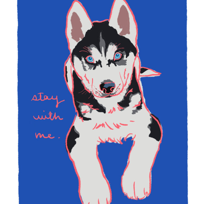 犬のイラスト 犬の絵はがき