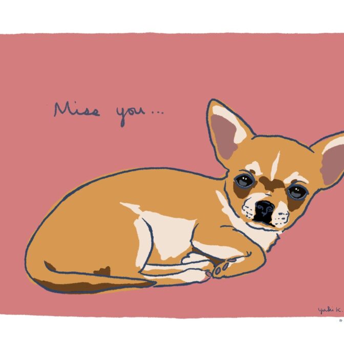 犬のイラスト 犬の絵はがき