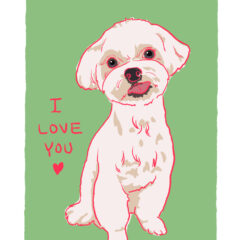 ハワイアンキルトのお店 から小さな命を救うための寄付目的のお店に変更