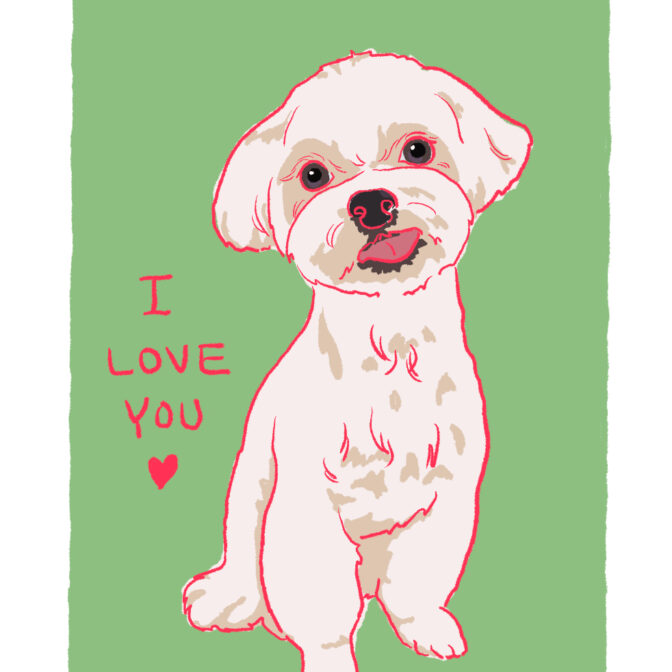 犬のイラスト 犬の絵はがき