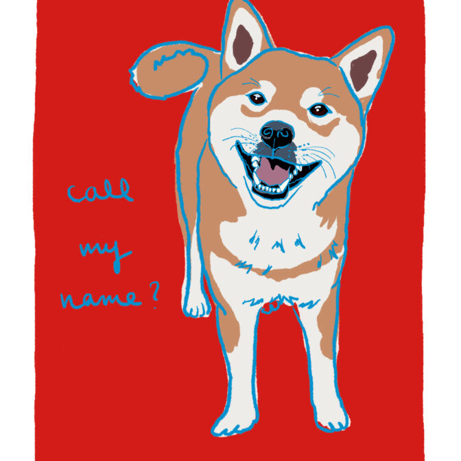 犬のイラスト 犬の絵はがき