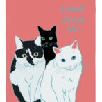 猫のイラスト 猫の絵はがき