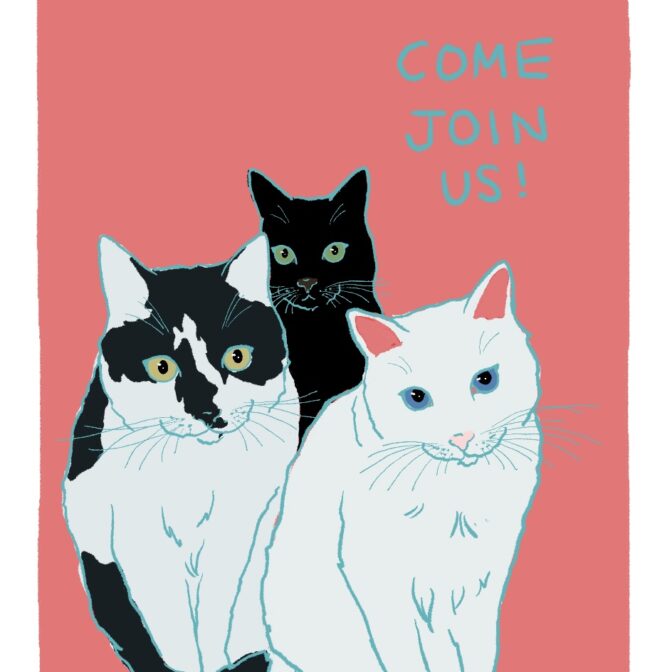 猫のイラスト 猫の絵はがき