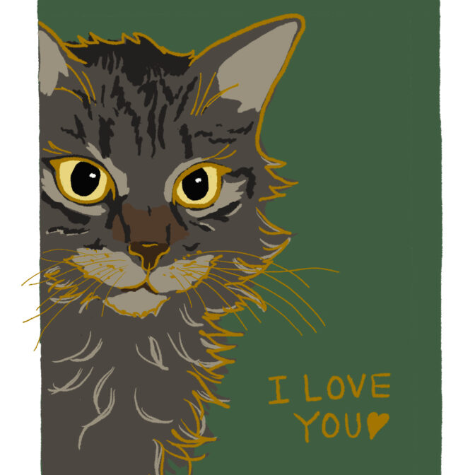 猫のイラスト 猫の絵はがき