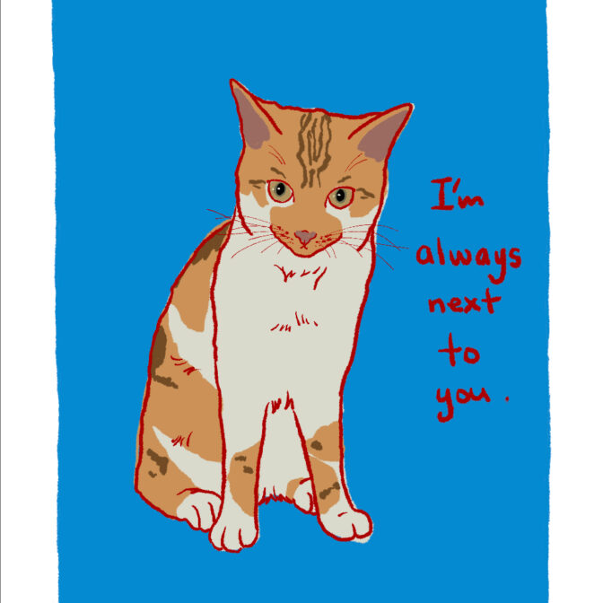 猫のイラスト 猫の絵はがき