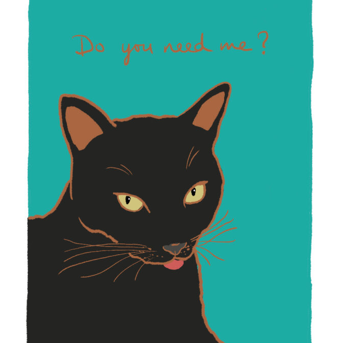 猫のイラスト 猫の絵はがき