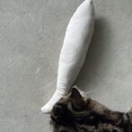 猫のおもちゃ　ウールサッキング対応